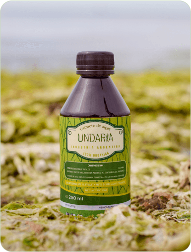 Producto undaria