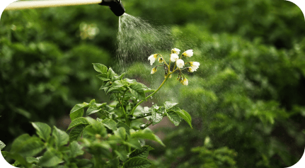 Dependencia de químicos